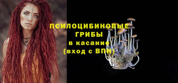 гидропоника Приозерск