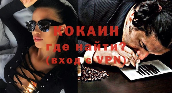 дмт Протвино